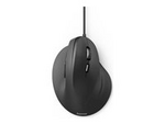 Vertical Ergonomic