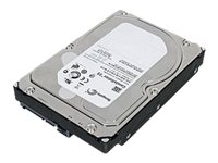WD WD4000FYYZ - hårddisk