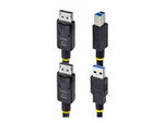 10ft (3m) DisplayPort and USB 5Gbps KVM Cable