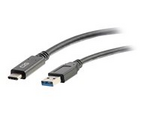 3ft USB C to USB A Cable