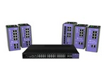 ExtremeSwitching ISW-24W-4X