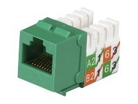 Black Box GigaTrue2 CAT6 Jack