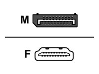 Dell videokort - DisplayPort / HDMI