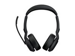 Evolve2 55 MS Stereo