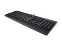 Lenovo Preferred Pro II