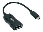 USB-C Display Port Adapter