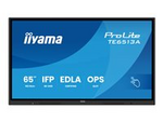 ProLite TE6513A-B1AG
