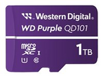 WD Purple WDD100T1P0C