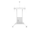M Motorized Floorstand