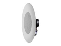 JBL Commercial Series CSS8008