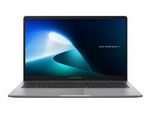 ExpertBook P1 P1503CVA-S71555XW