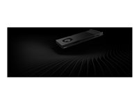 NVIDIA RTX PRO 4000 Blackwell