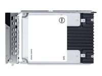 Dell - SSD - Read Intensive