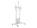 M Motorized Floorstand