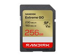 Extreme Go - Flash-minneskort