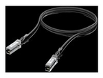 25GBase direktkopplingskabel