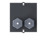 Custom module