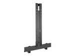Fusion Center Speaker Adapter