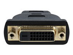 HDMI Male to DVI Female