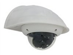 Outdoor Wall Mount