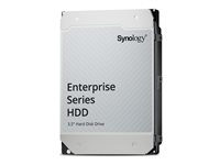Synology HAT5320 - hårddisk