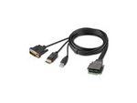 Secure Modular DVI and DP Dual Head Host Cable