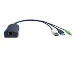 CATx DisplayPort CAM