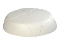 Panorama Low Profile 4x4 MIMO Antenna