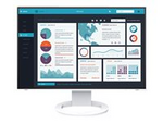 FlexScan EV2495-WT