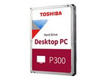 P300 Desktop PC
