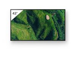 Bravia Professional Displays FW-43BZ35P