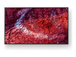Bravia Professional Displays FW-75BZ40P