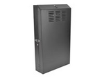 Tripp Lite Series 4U Wall Mount Low Profile Rack Enclosure Cabinet 36" Deep