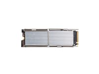 HP Z Turbo Drive - SSD