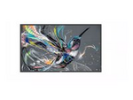 65BDL3511Q - 65" Diagonal klass (64.5" visbar)