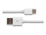 GRATEQ - USB-kabel - USB (hane) till 24 pin USB-C (hane)