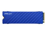 CS2341 - SSD - 1 TB